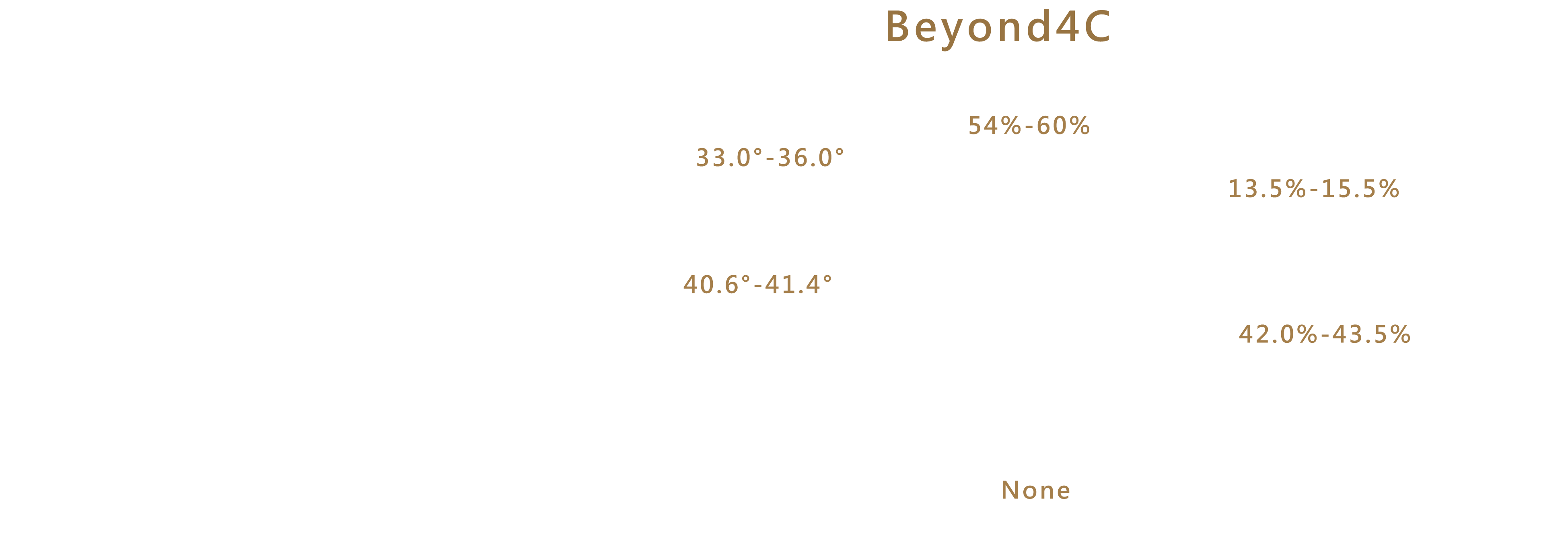 A&J Collection Beyond 4C切割標準